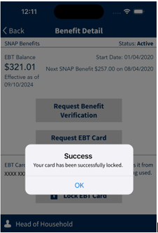 Mobile App Card Locked