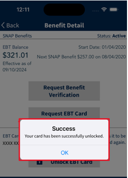 Mobile App Card Successfully Unlocked