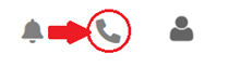 Phone Icon