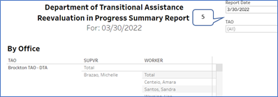 RAPID Report
