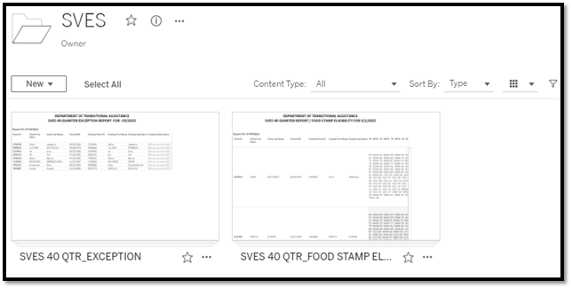 Food Stamp Eligibility