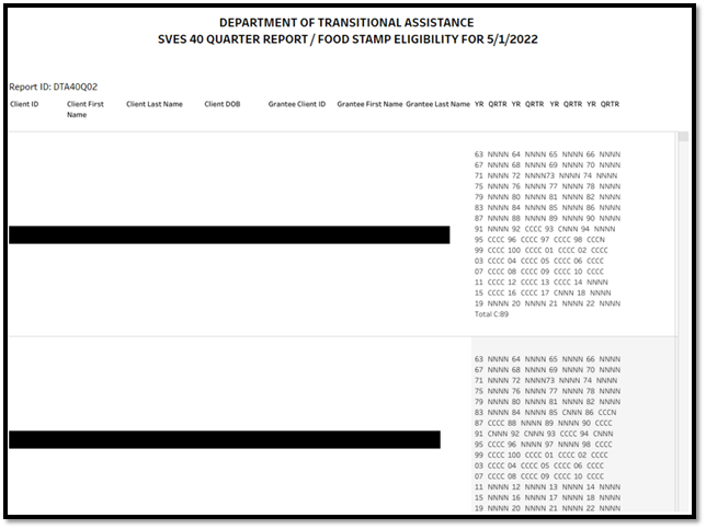 SVES 40 Quarter Report 2